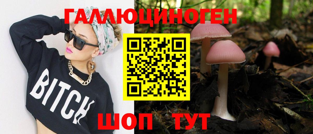 где найти   Вход с VPN  Можга  Псилоцибиновые грибы прущие грибы 